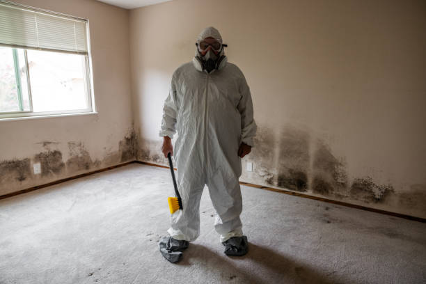 Best Bathroom Mold Remediation in Portage, MI